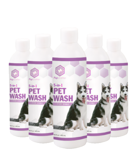 Deep Clean Doggy Wash