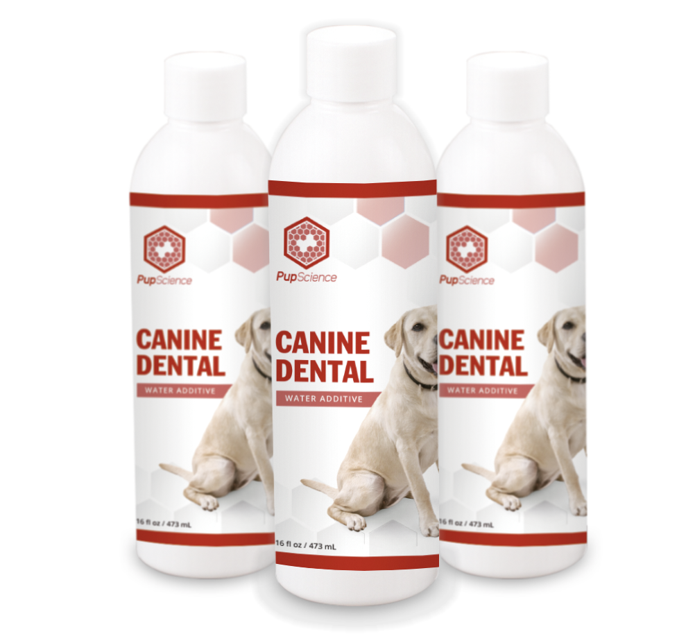 Water Dental Additive