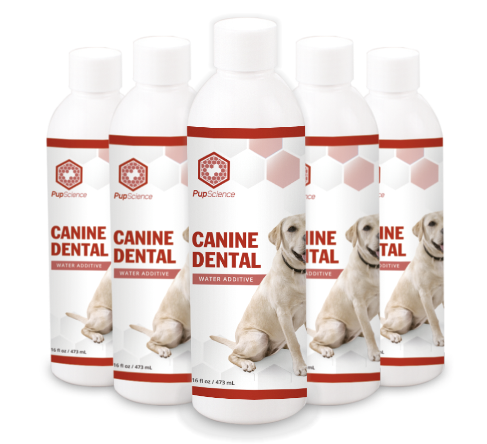 Water Dental Additive